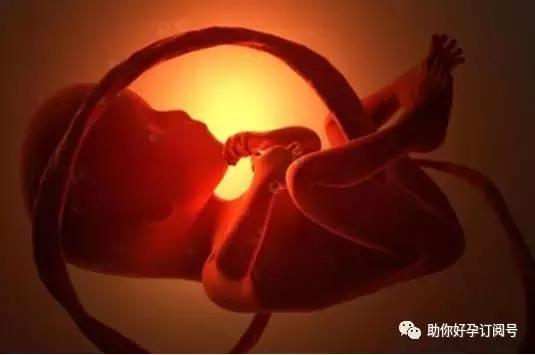 23周的胎儿脐带绕颈三周有影响么,孕37周脐带绕颈三周爬床能绕开吗