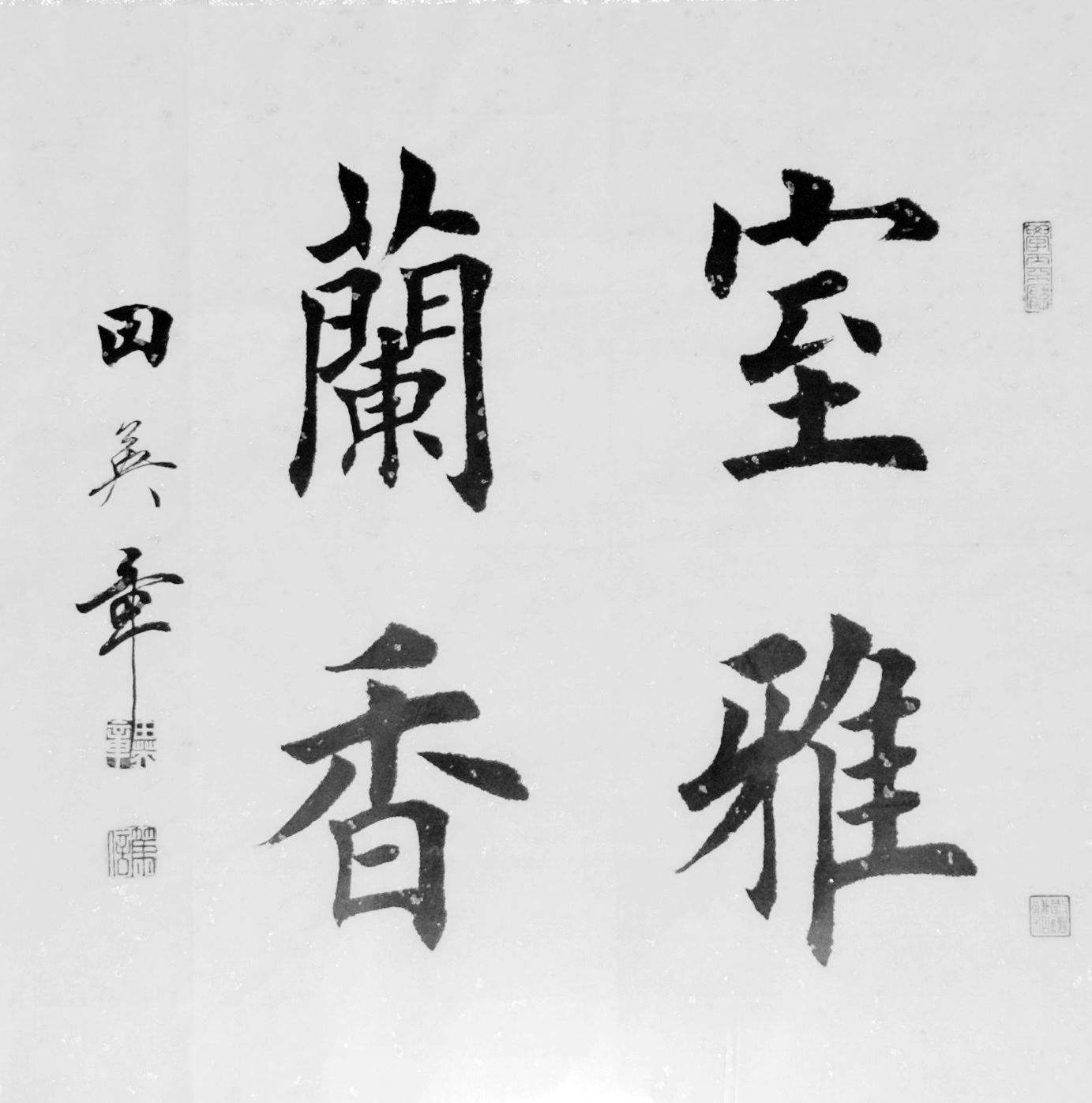 田英章毛笔楷书四字书法,田英章书法将进酒楷书欣赏