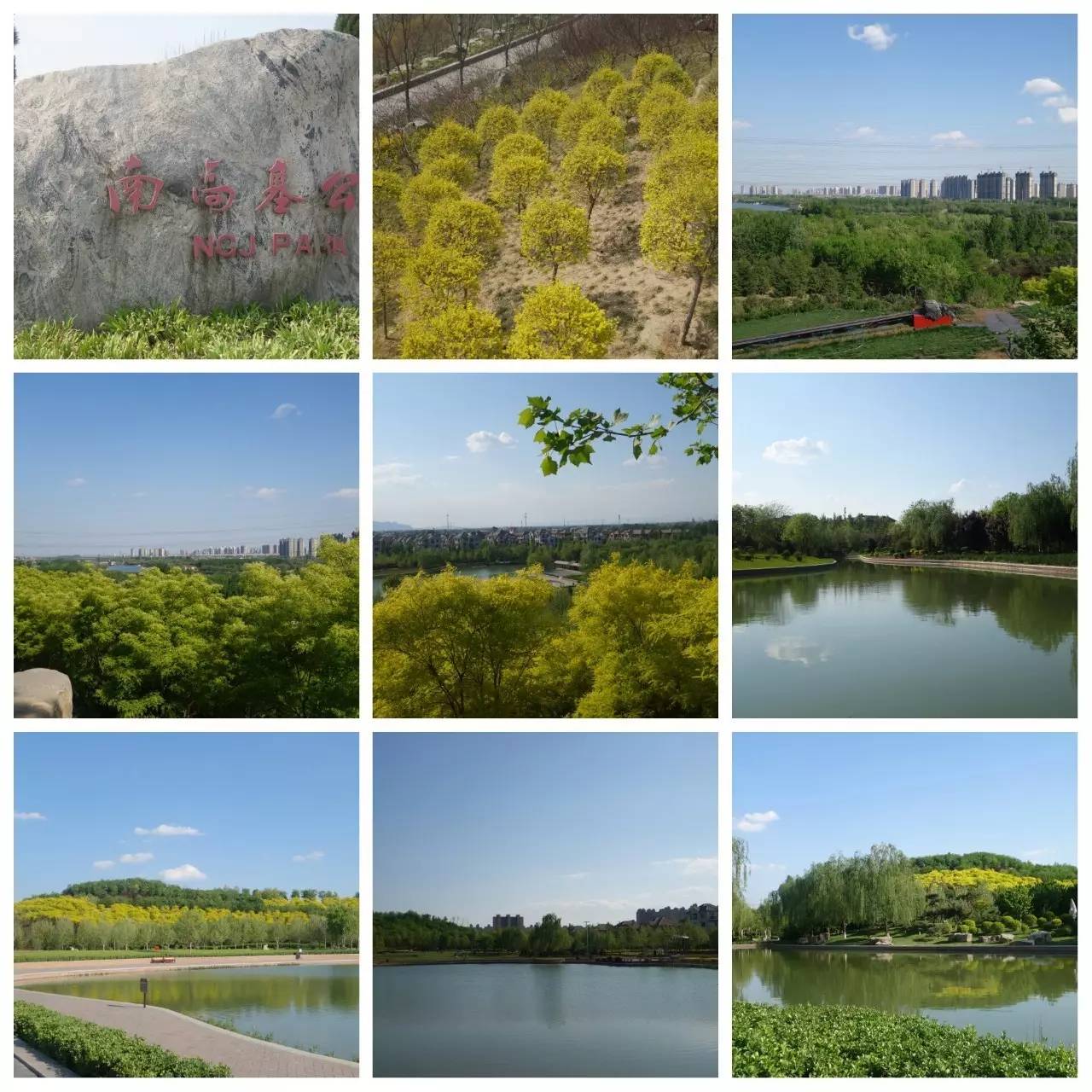 我用30万步，走遍石家庄公园