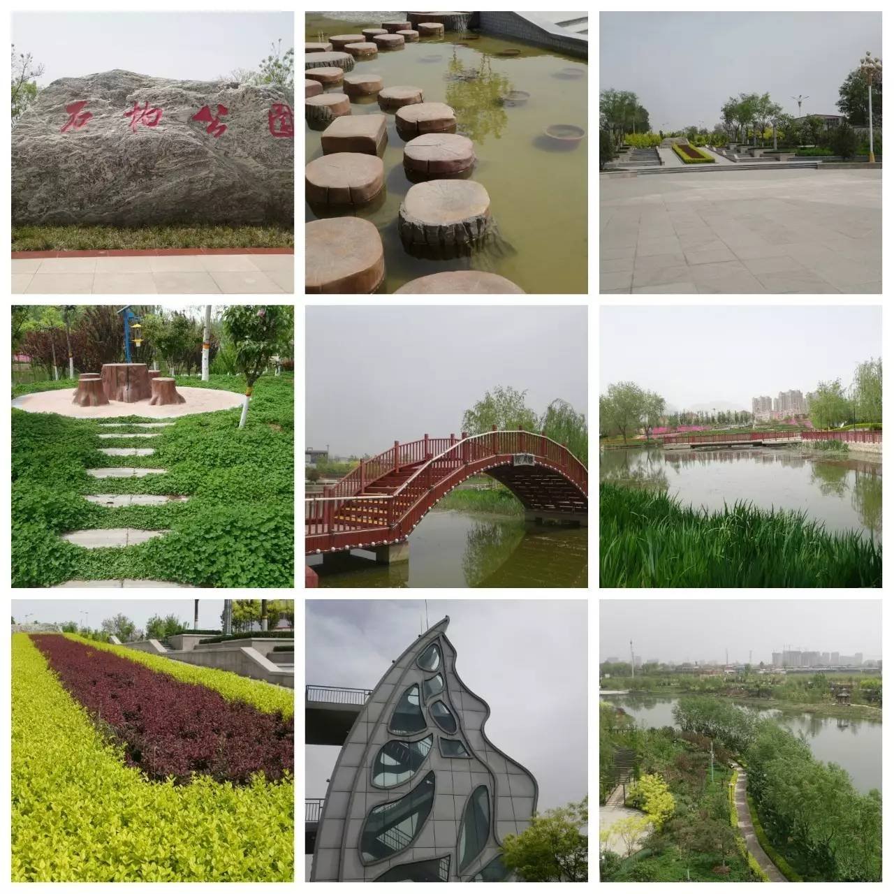 我用30万步，走遍石家庄公园