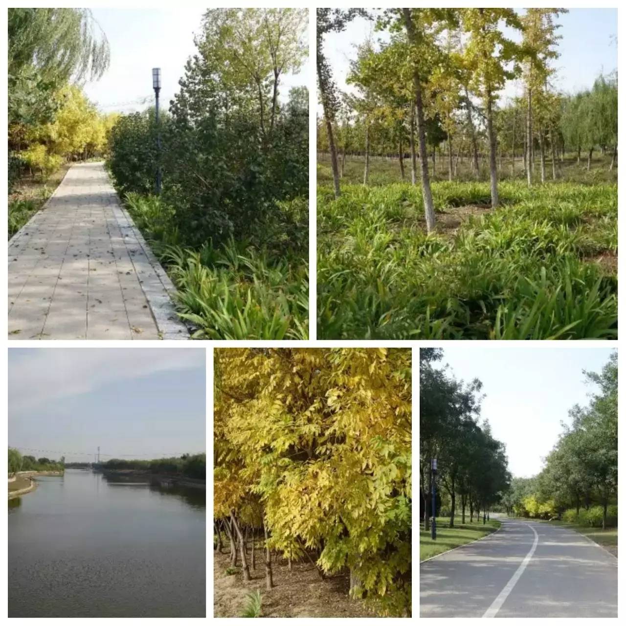 我用30万步，走遍石家庄公园