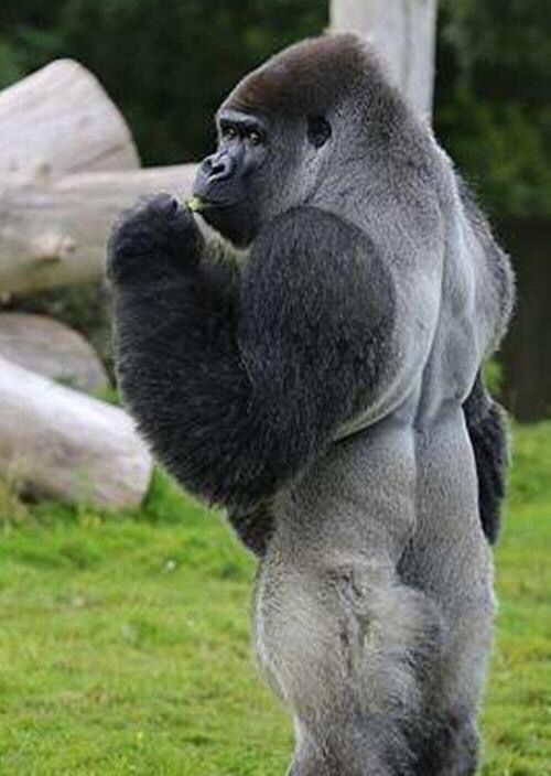 今日头条搞笑评论神回复,盘点那些有趣的神评论