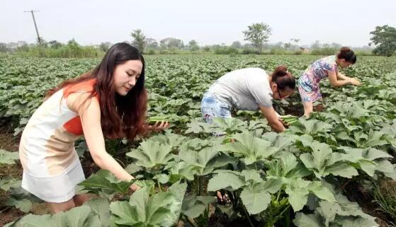 32岁女生想从零基础学门手艺创业,女人零基础学电脑
