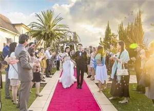 策划一场求婚需要准备什么,求婚策划有哪些