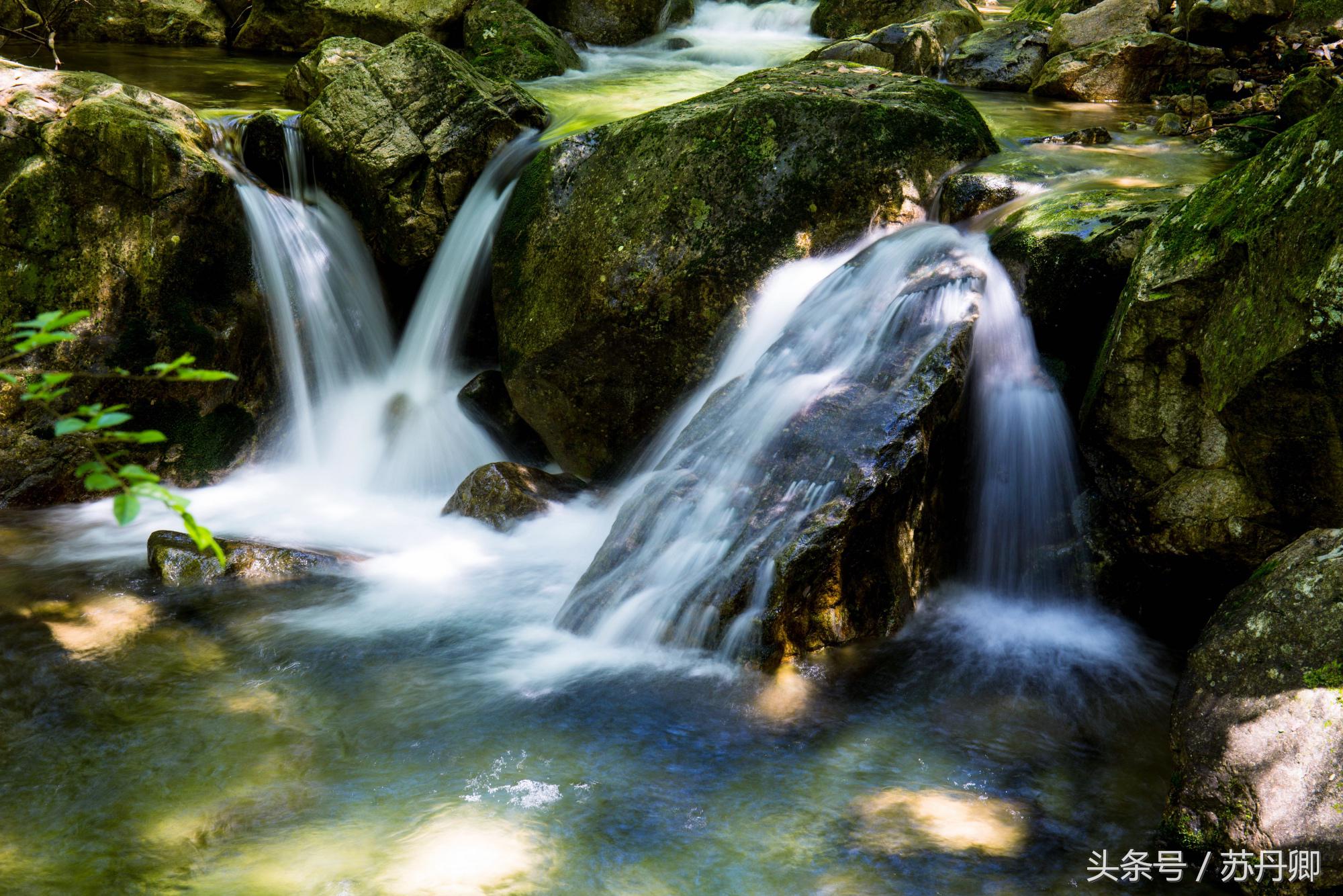 在水下洞穴探险,森林海自由潜水