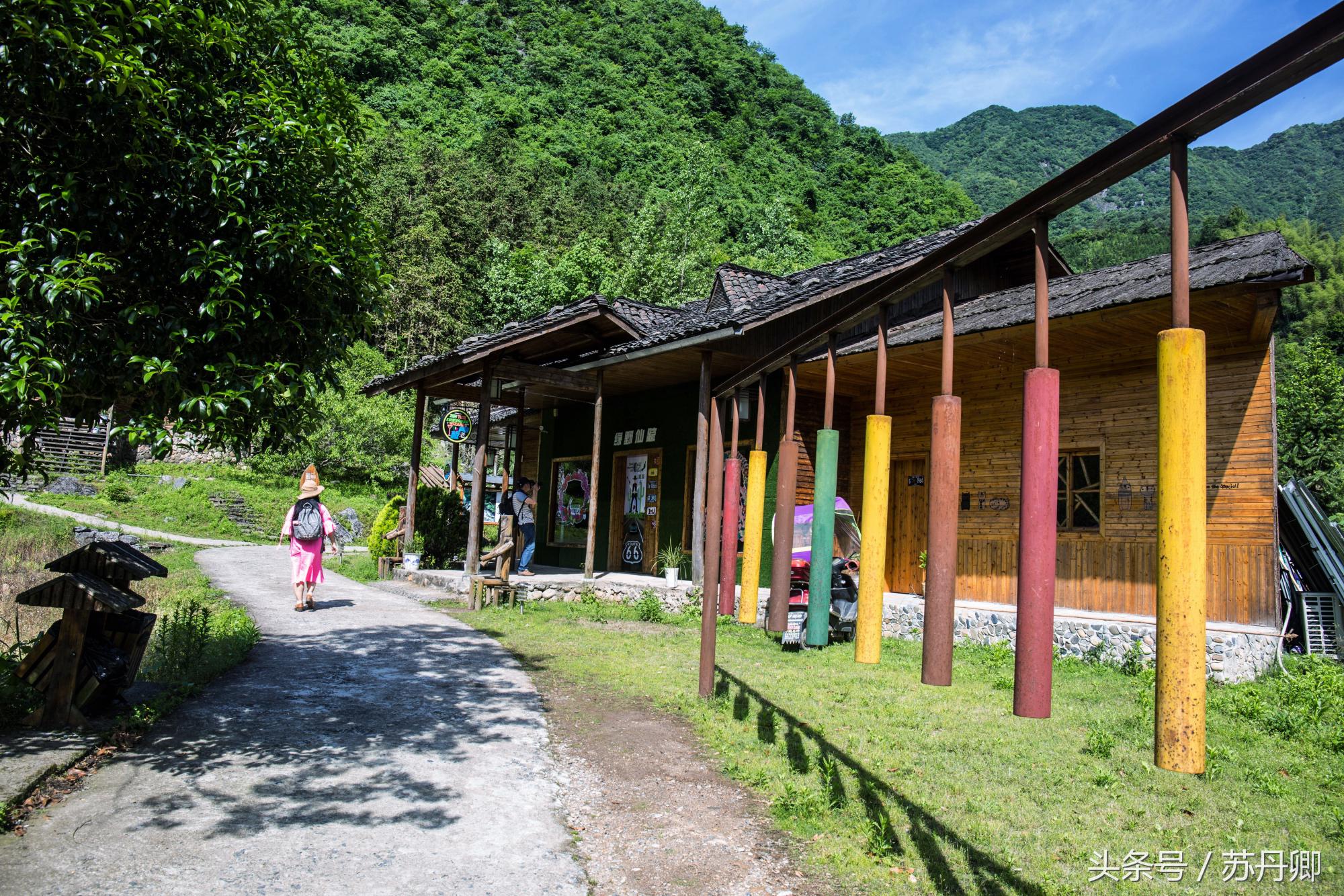 在水下洞穴探险,森林海自由潜水