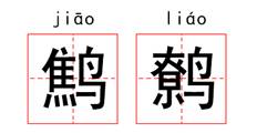 中国古代怪鸟,古代有什么奇特的鸟