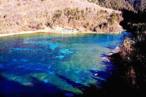 九寨沟的冬天是一幅精美的水墨画,冬天五彩池九寨沟