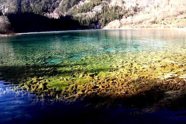 九寨沟的冬天是一幅精美的水墨画,冬天五彩池九寨沟