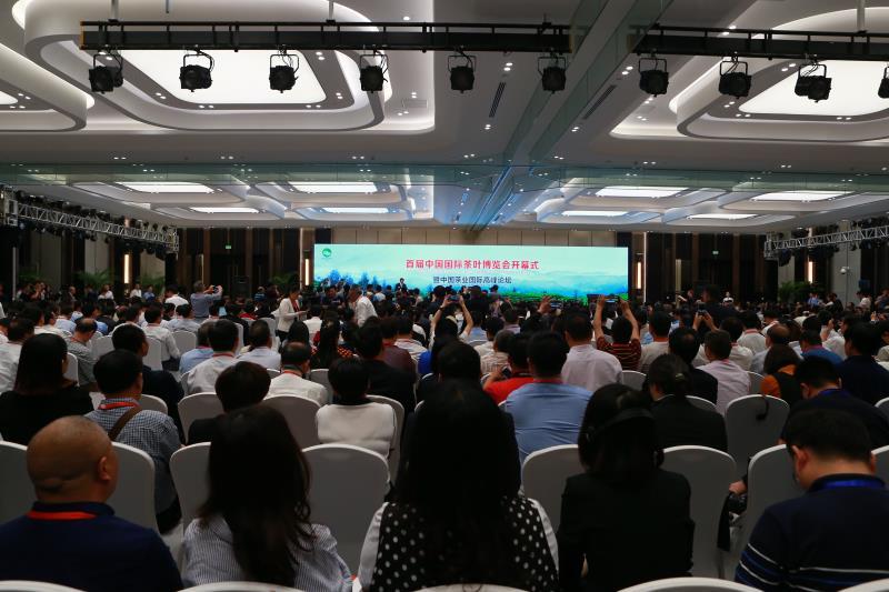 中国国际茶叶博览会杭州,国际茶叶博览会安吉白茶