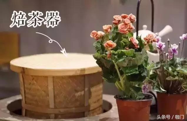 快乐柠檬为什么会成功,快乐柠檬未来发展