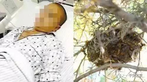 直播要遵守哪些规则,直播不能触犯的规则