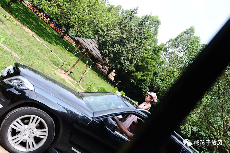 广州长隆野生动物园游玩攻略,广州长隆野生动物园攻略自由行