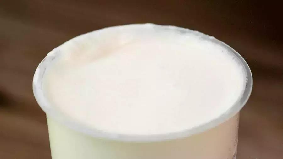 喜茶哪杯奶茶最好,喜茶哪一款奶茶最好喝