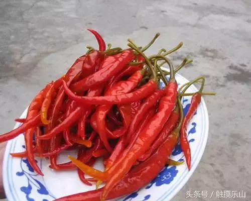 对不起，我要去夹江“区”了！