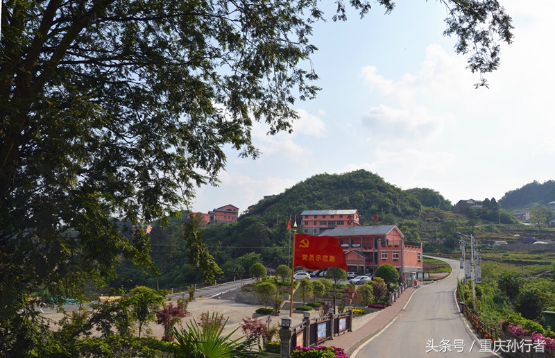 綦江花坝：以花为媒村民吃上旅游饭