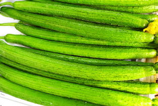 哺乳期吃什么食物增加乳汁分泌,促进乳汁分泌的食物有哪些