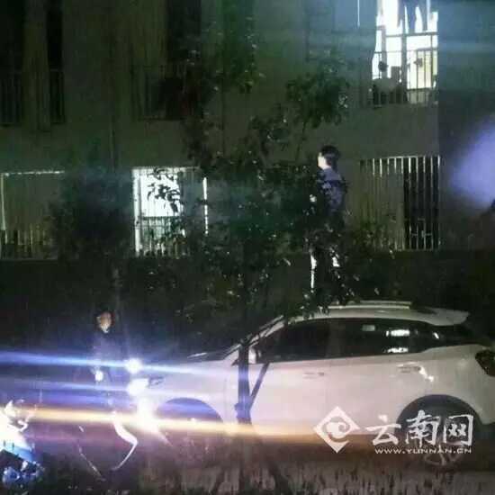 小熊叨叨叨:喜大普奔,组织要帮忙找对象啦!