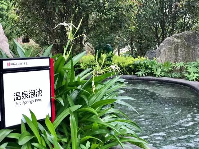 西南华邑酒店攻略,大理华邑酒店