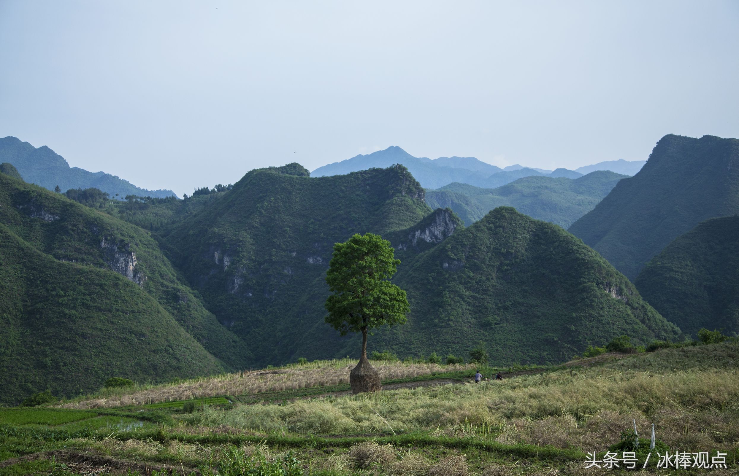 藏在贵州大山深处的惊艳之美,隐藏在贵州大山里的古寨