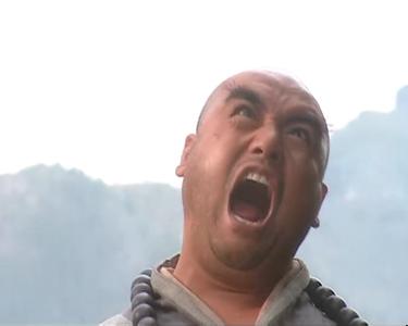 鲁智深为什么被称为天孤星,鲁智深为何是天孤星