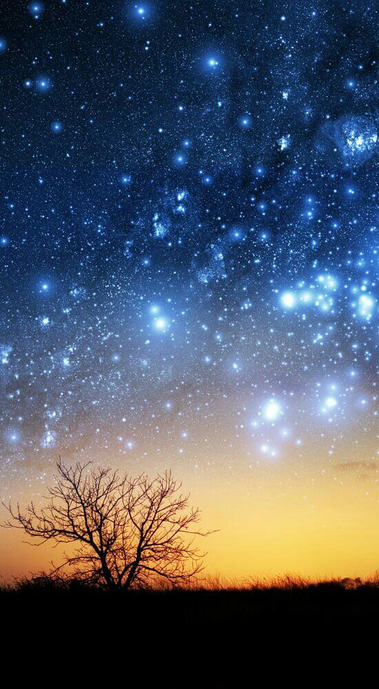 欢乐颂2，应勤对邱莹莹的处女情结，你赞同吗？