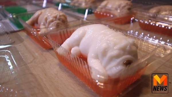 恐怖沙皮狗,沙皮狗恐怖视频