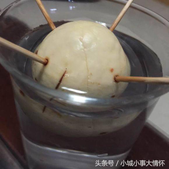 吃完牛油果千万别碰5种食物,吃完的牛油果别扔