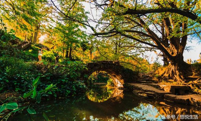 贵州即将建飞机场的县,贵州即将撤县设区的县