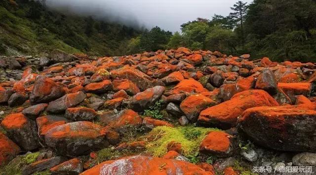 德阳周边游：端午3天我们走“喇叭河”怎么样？最强攻略来袭