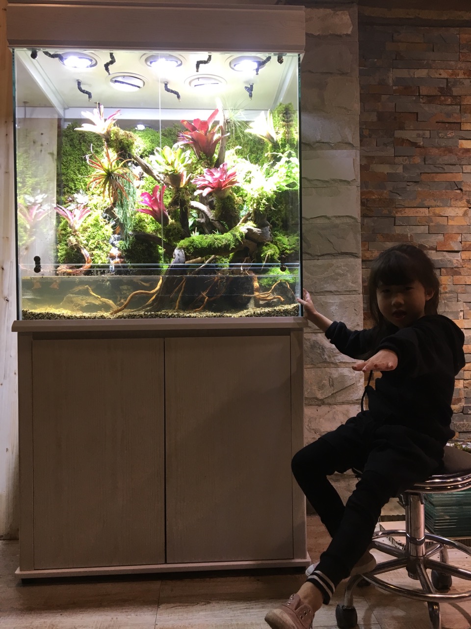 水族店发展思路,水族店开在哪里合适