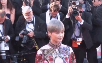 李宇春戛纳红毯秀被评为最佳着装,李宇春stop表演