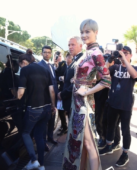 李宇春戛纳红毯秀被评为最佳着装,李宇春stop表演