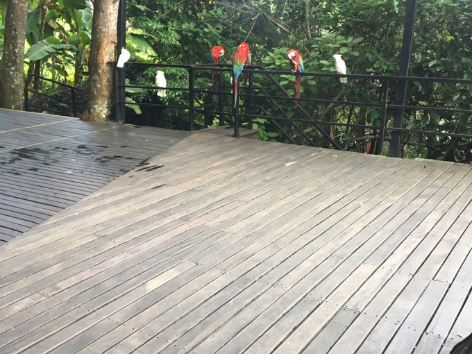 两个快乐的小阿妹神游三亚