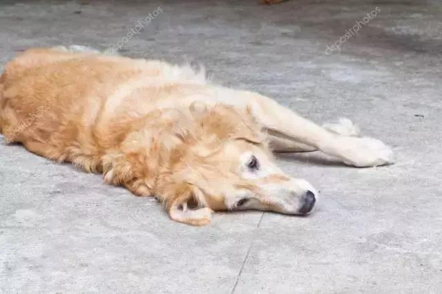 4000块的塑料拖鞋，1万7的民工编织袋包包，觉得丑还买不起