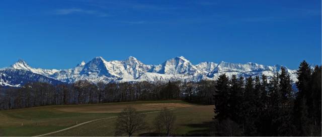 商务参赞谈一带一路丨丝路星火越千载，中瑞合作惠万家