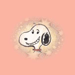 史努比狗是什么狗,史努比是一只什么品种的狗