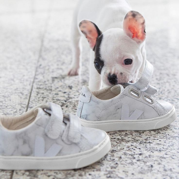 史上最全球鞋合集｜要舒服要好看还不想撞鞋的看这里