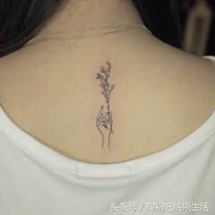 纹身怕疼可以纹身贴吗,纹身怕洗不掉又想纹