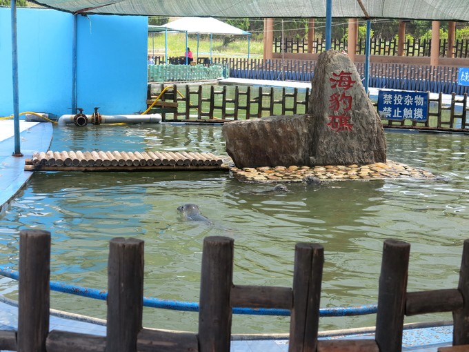 烟台蓬莱长岛两日游景色美极了,烟台长岛三日游攻略