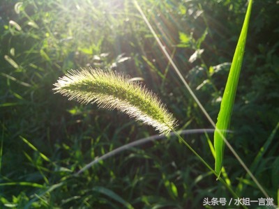 肉眼看到的和相机看到的区别,肉眼看到的和看不到的