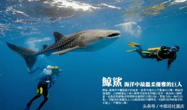 宿务旅游跟团七日游,宿务旅行攻略