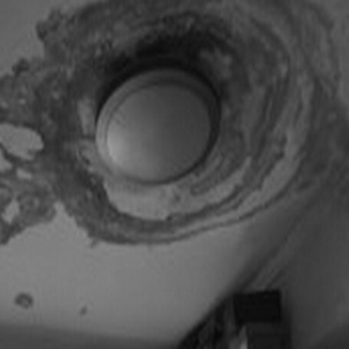 墙体发霉发潮掉墙皮怎么装修,墙皮发霉自己怎么处理