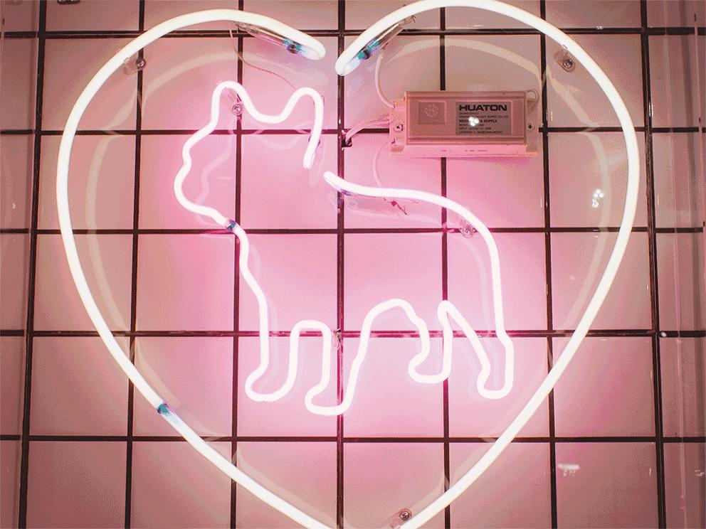 老武汉人的最爱，粉丝不远千里开车来吃，连开三家店