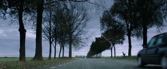 戛纳电影节最新三部悬疑惊悚电影,当年戛纳评分最高的悬疑片