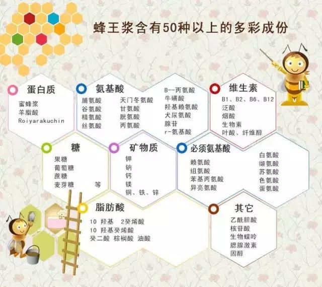 养生滋补之蜂产品 (日本养生滋补之蜂产品)