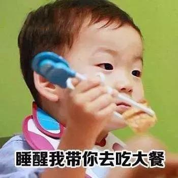 养生滋补之蜂产品 (日本养生滋补之蜂产品)