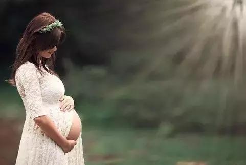 养生滋补之蜂产品 (日本养生滋补之蜂产品)