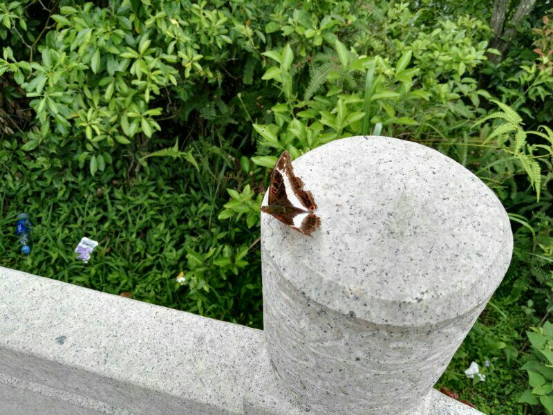 惠州安墩热汤村华清温泉,深圳日式温泉推荐