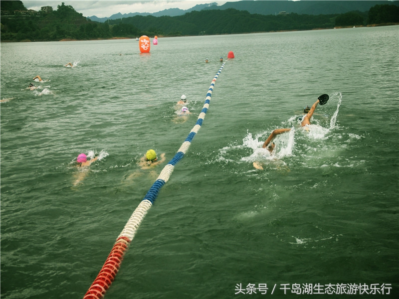 千岛湖人真有福!免费享受573km²的天然绿色游泳场(原创)